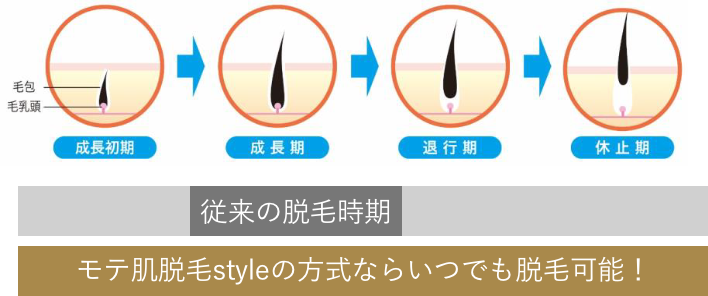 新旧比較図　脱毛方式